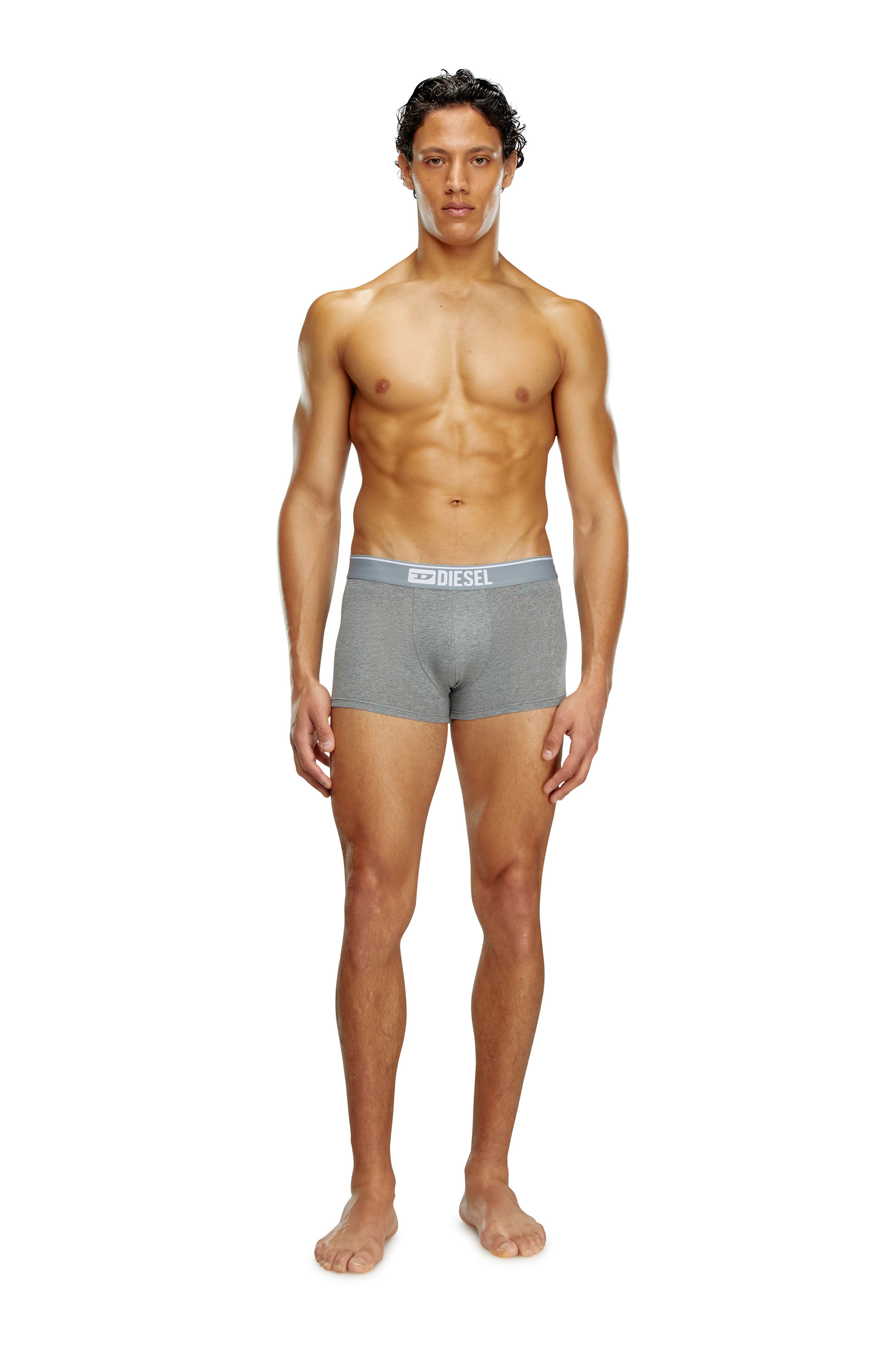 Diesel - UMBX-DAMIENTHREEPACK, Man's Three-pack of plain boxer briefs in White/Grey - 4