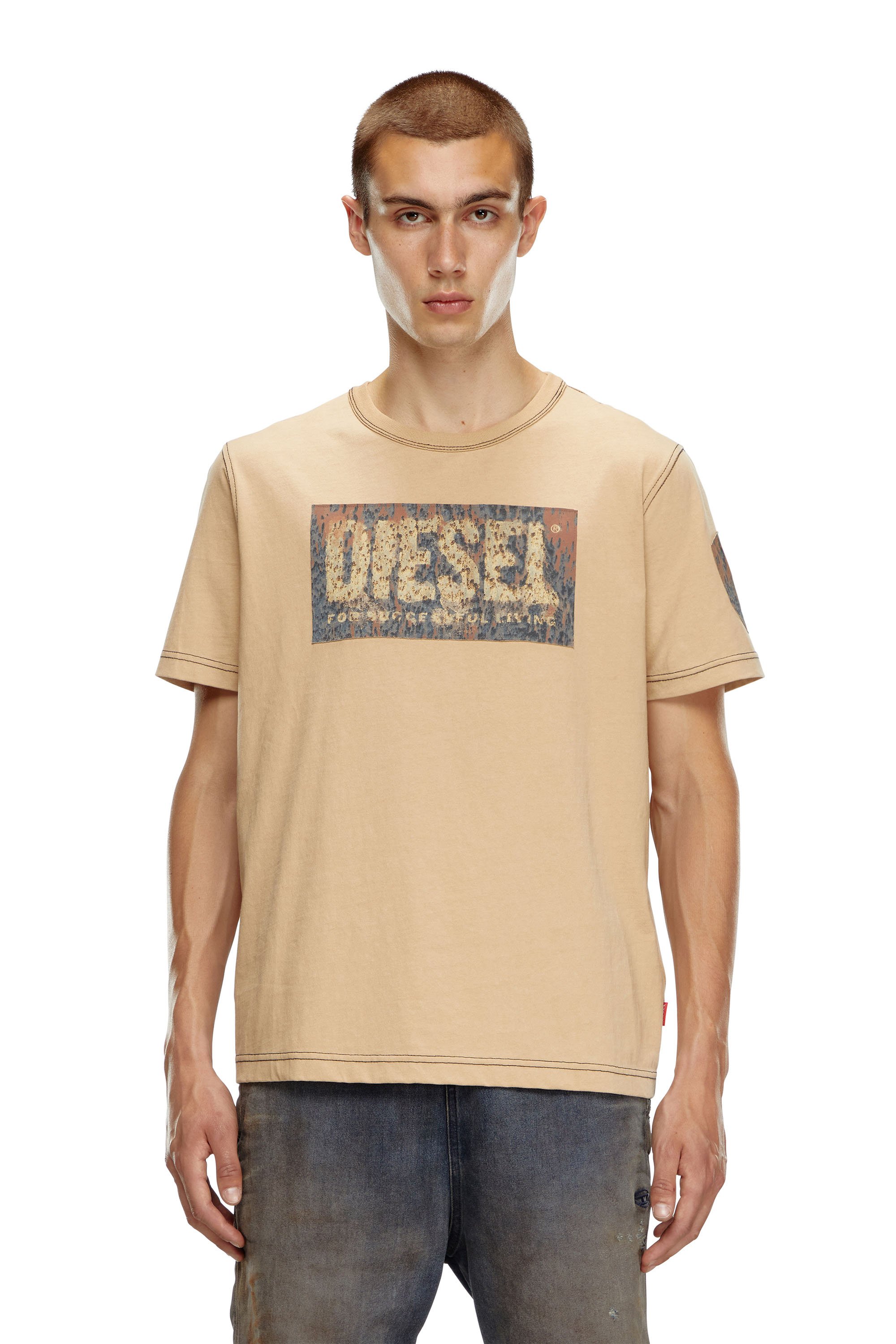 Diesel - T-ADJUST-Q1, Camiseta con parches gráficos Hombre in Marrón - 1